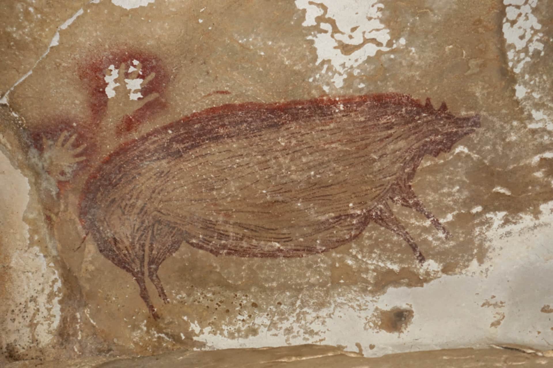 The First Painting: Uncovering the Dawn of Human Art